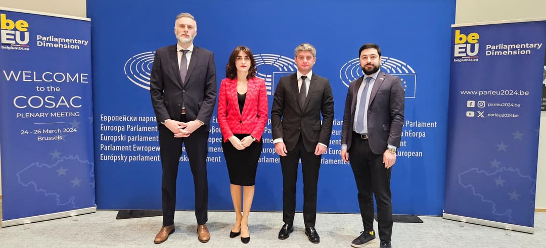 საქართველოს დელეგაციამ ევროკავშირის ეროვნული პარლამენტების ევროპულ საქმეთა კომიტეტების კონფერენციის (COSAC) პლენარულ სესიაში მიიღო მონაწილეობა