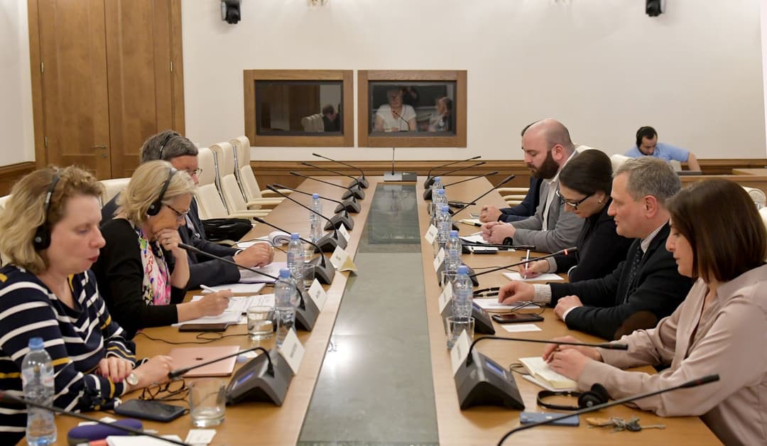 თამარ კორძაია – ყველაზე დიდ პრობლემად ისევ გამოიკვეთა დეპოლარიზაციის საკითხის გადაჭრა, სასამართლო სისტემის რეფორმა და ანტიკორუფციული საკითხები