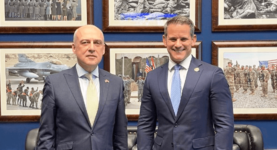 Congressman Kinzinger: Georgia an important ally, bulwark against Russia