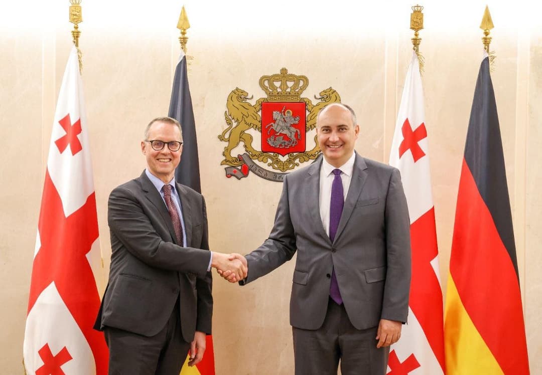 თავდაცვის მინისტრმა გერმანელ დიპლომატებს უმასპინძლა