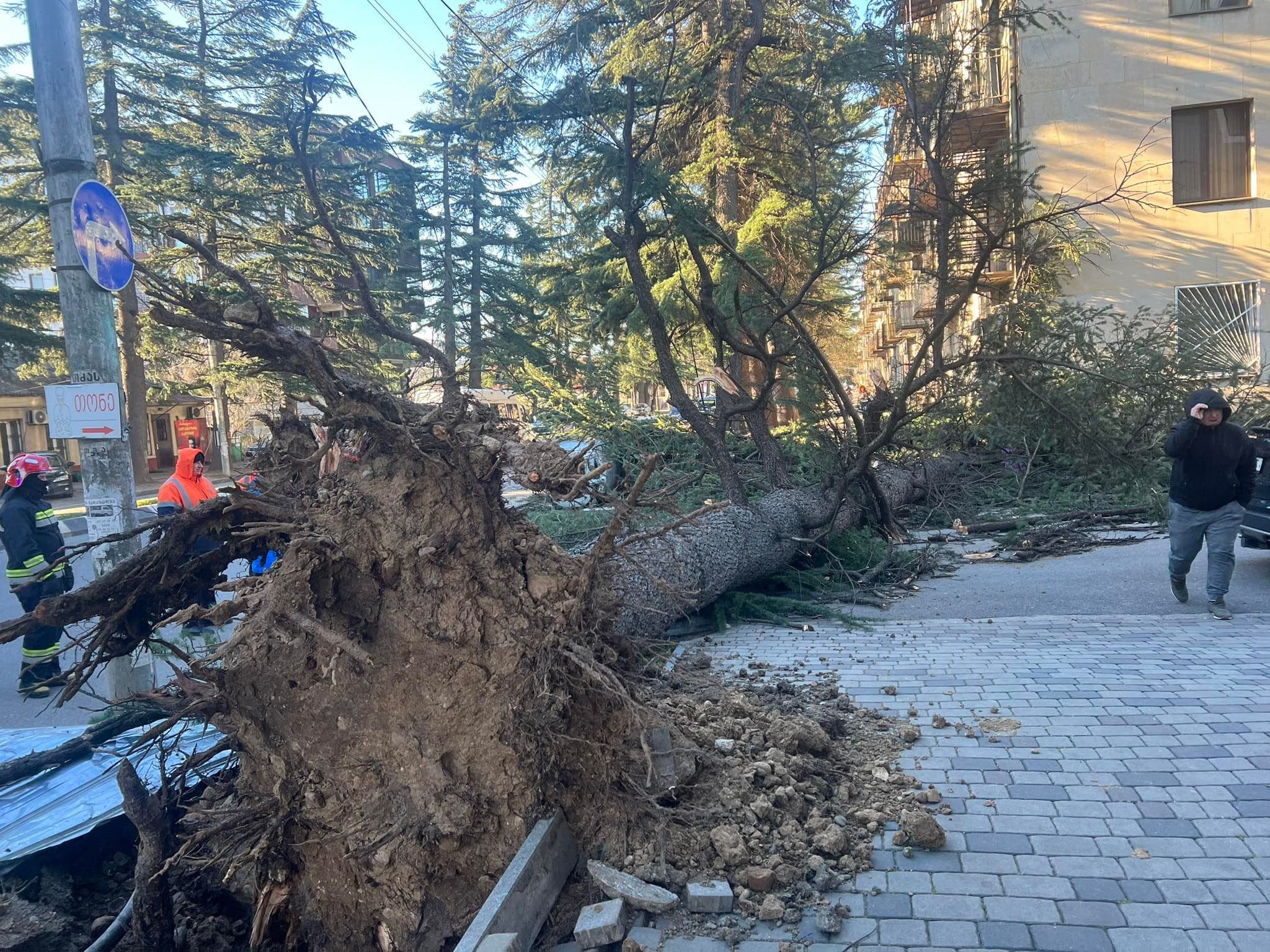 Frontnews image description