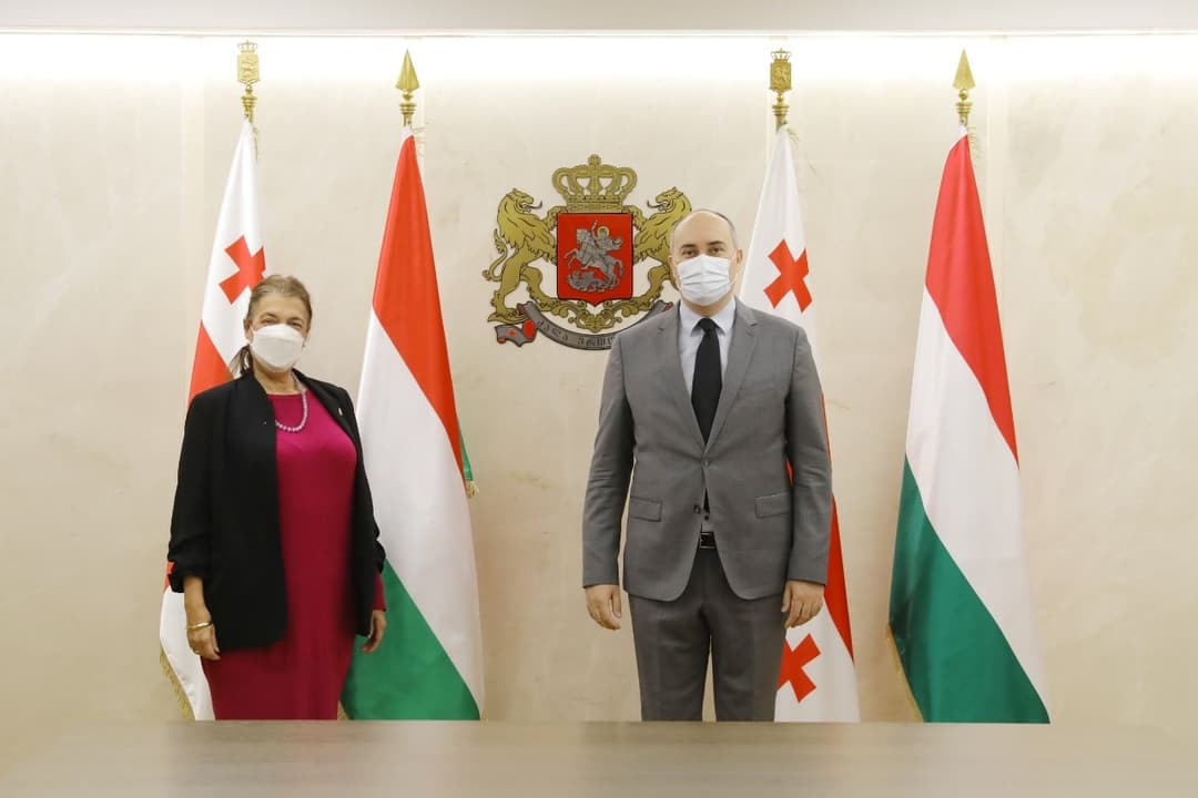 თავდაცვის მინისტრმა უნგრეთის ელჩთან გაცნობითი შეხვედრა გამართა