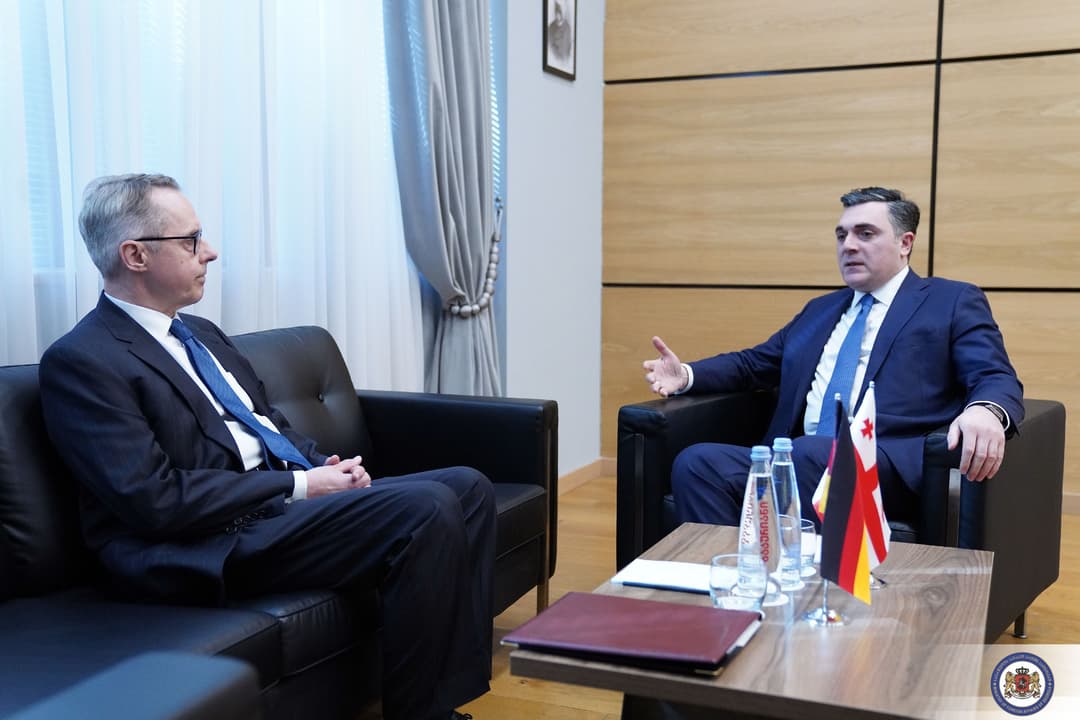 Georgian FM raises concerns over wanted, ex-official’s meetings in Brussels, Berlin with Ambassadors