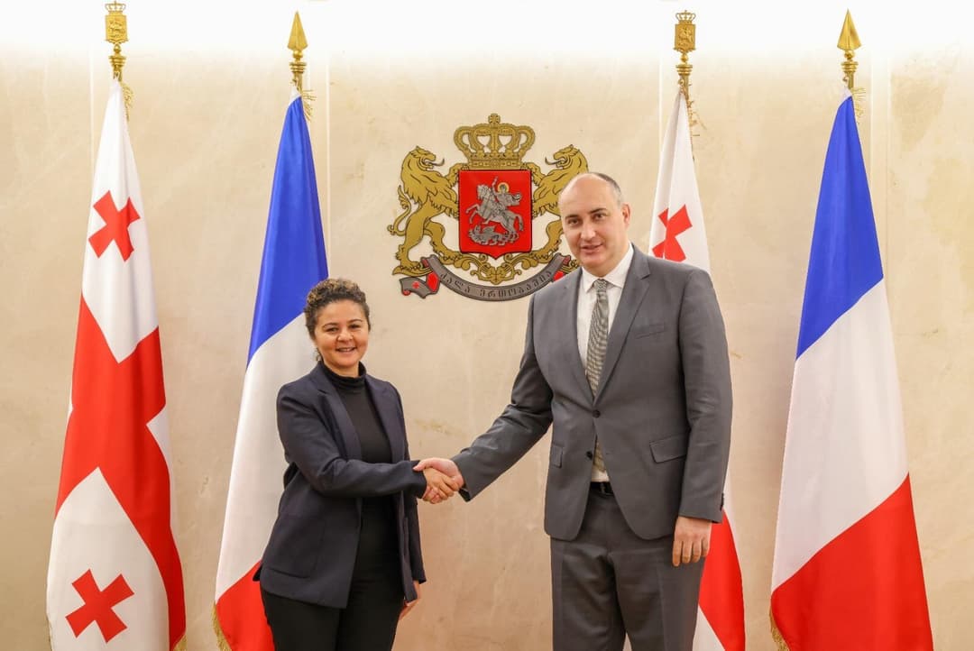 ჯუანშერ ბურჭულაძე საფრანგეთის რესპუბლიკის ელჩს შეხვდა