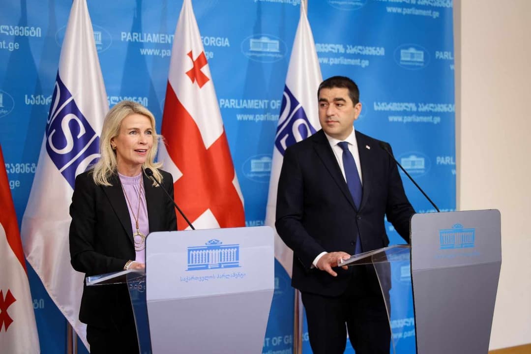 შალვა პაპუაშვილი – იმედი გვაქვს, ჩვენი კოლეგები ეუთოს საპარლამენტო ასამბლეიდან, დააკვირდებიან 2024 წლის საპარლამენტო არჩევნებს