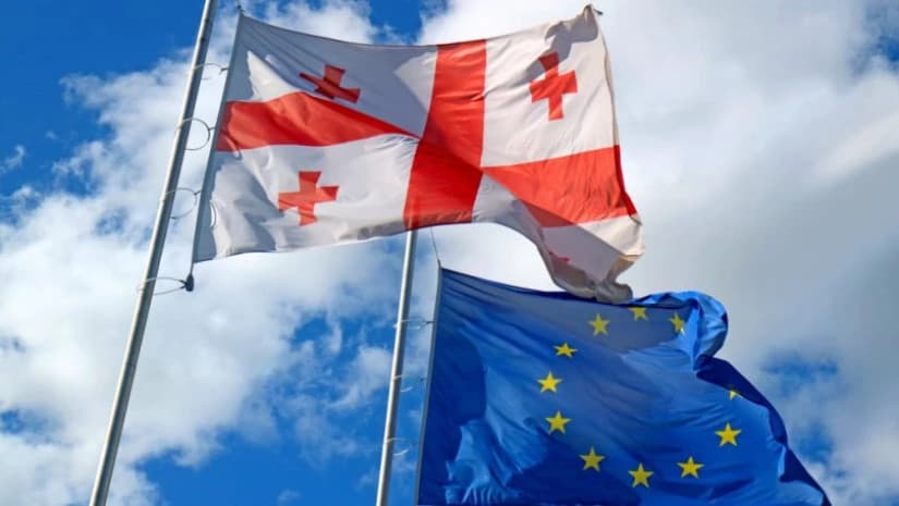 Georgian diaspora issues joint statement on political crisis in Georgia