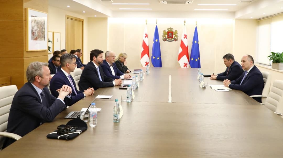 თავდაცვის მინისტრმა ევროპარლამენტის დელეგაციას უმასპინძლა