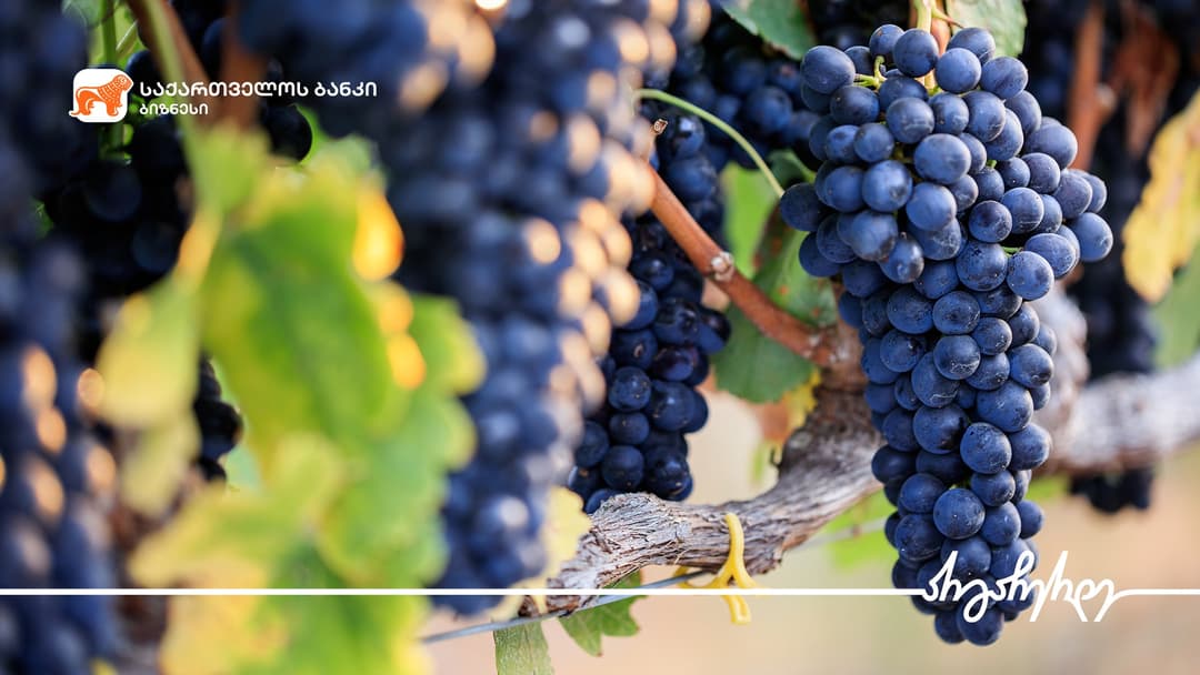 “საქართველოს ბანკთან” პარტნიორობით “ვაინ გარდსის” ღვინო ექსპორტზე გავიდა