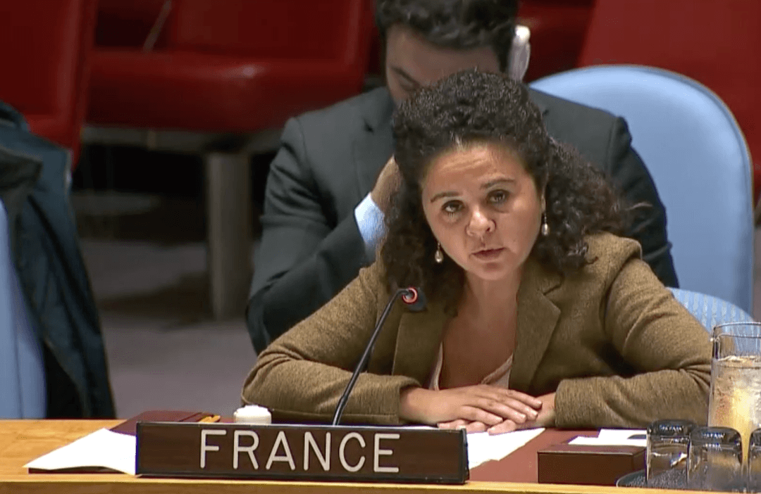 French Ambassador to Georgia: media professionals should be protected, not targeted