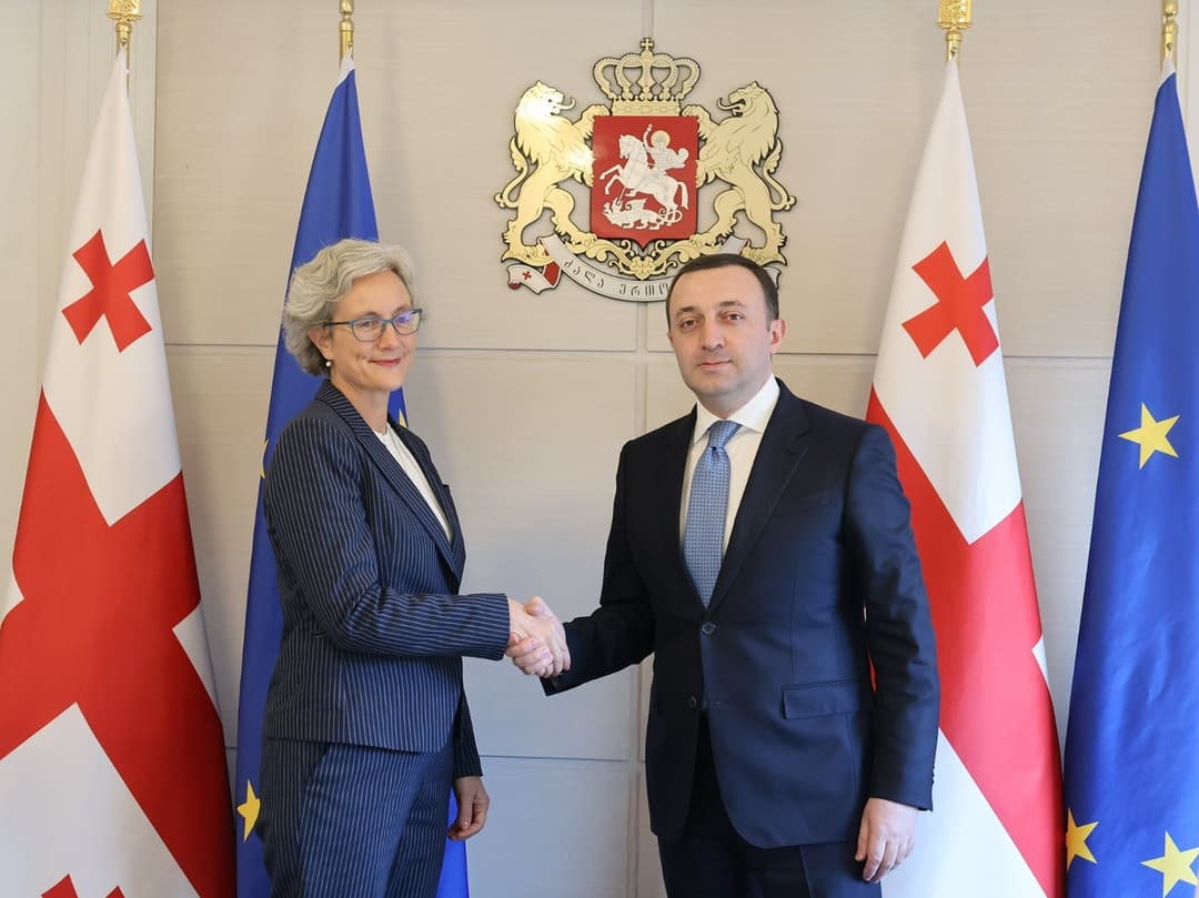 ირაკლი ღარიბაშვილი საქართველოში ნორვეგიის სამეფოს საგანგებო და სრულუფლებიან ელჩს შეხვდა