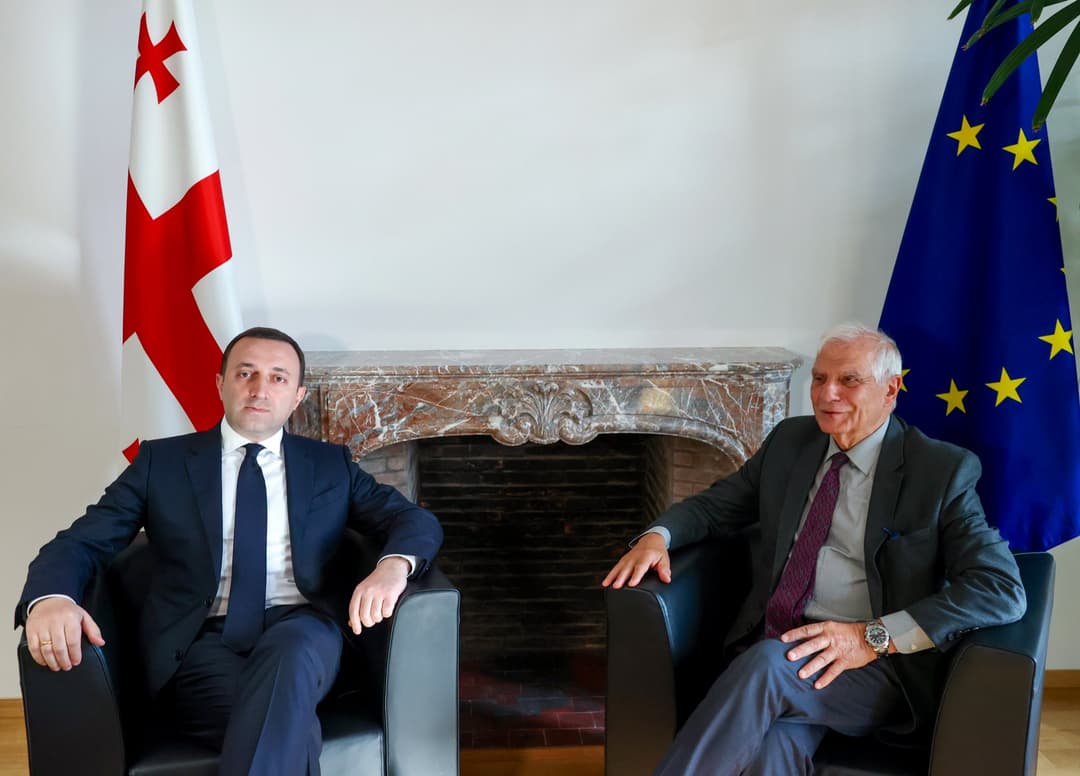 ჯოზეფ ბორელი – ევროკავშირი მხარს დაუჭერს საქართველოს ევროპულ გზაზე