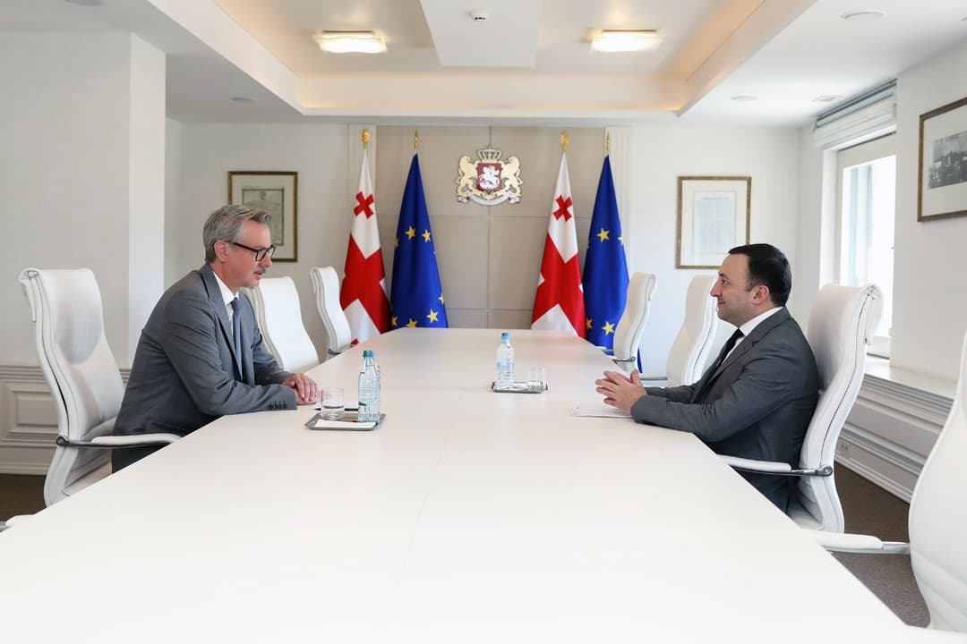 PM Garibashvili holds farewell meeting with EU Ambassador Hartzell