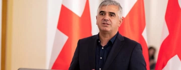 გიორგი ბოტკოველი – გვინახავს ხელისუფლების მიერ ორგანიზებული აქციები, სადაც ძირითადად, საჯარო მოხელეები ძალით მოჰყავთ