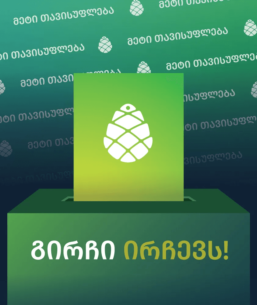 “გირჩი-მეტი თავისუფლება” განცხადებას ავრცელებს