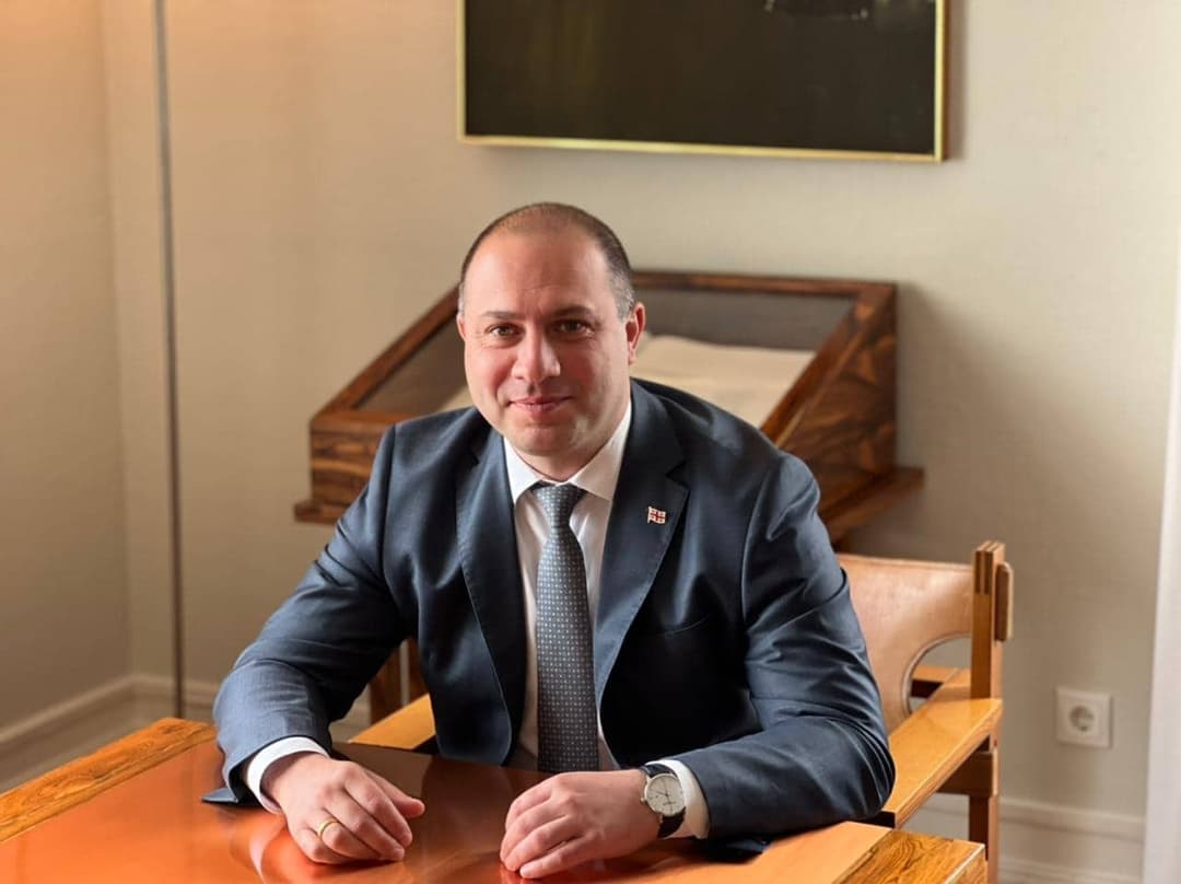 გივი მიქანაძე ევროპის საბჭოს საპარლამენტო ასამბლეის იურიდიულ საკითხთა კომიტეტზე შუალედური ანგარიშით წარსდგა