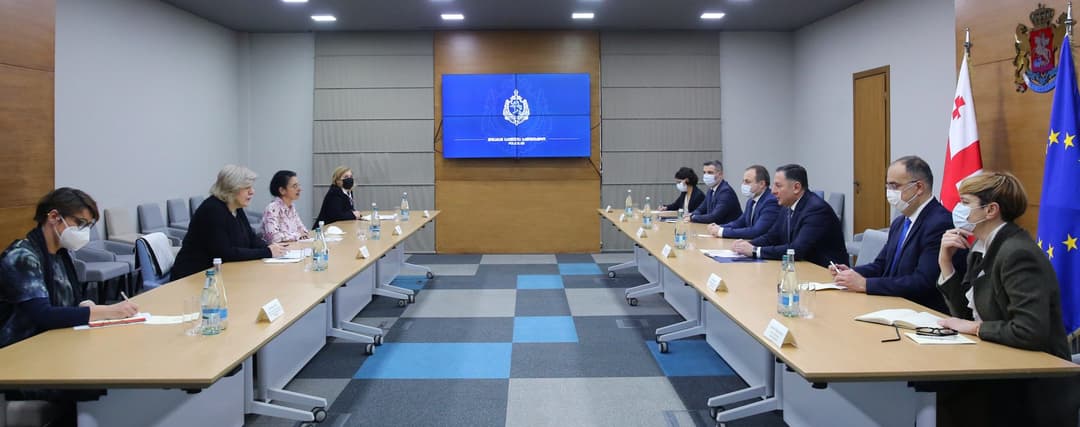 შს მინისტრი ევროპის საბჭოს ადამიანის უფლებათა კომისარს შეხვდა