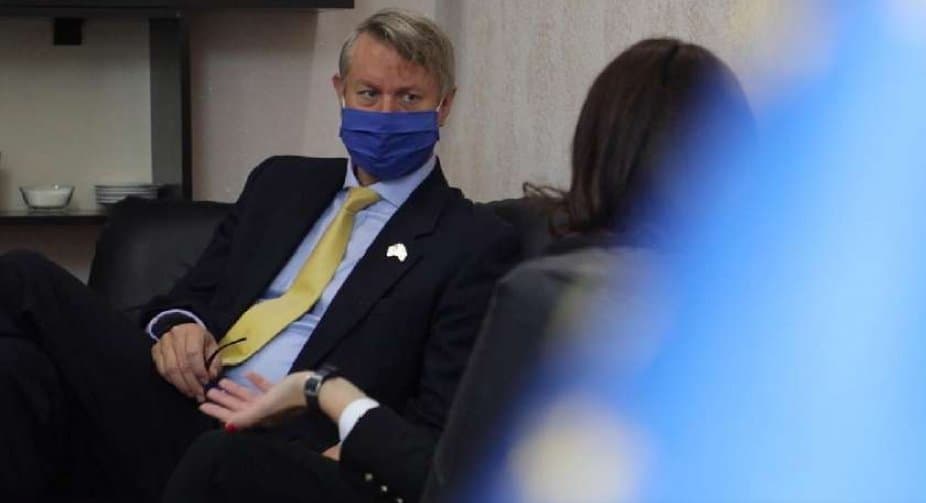 კარლ ჰარცელი – გამოქვეყნებული ანგარიში არ არის ევროპარლამენტის პროდუქტი, მასში მოცემული შეფასებები ეკუთვნის ავტორებს