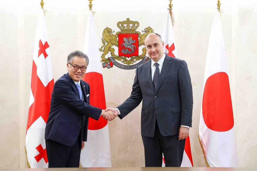 თავდაცვის მინისტრი იაპონიის ელჩს შეხვდა