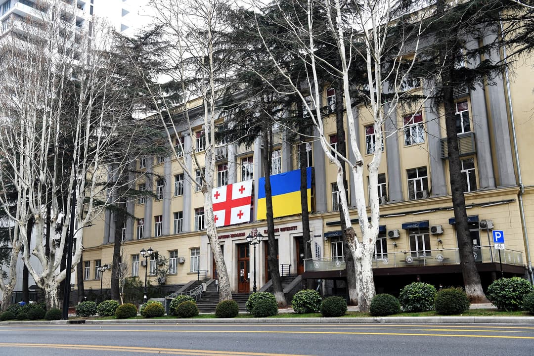 არასამთავრობოები – მოვუწოდებთ პასუხისმგებელ პირებს, შეწყვიტონ ილიას სახელმწიფო უნივერსიტეტის წინააღმდეგ დაწყებული საფრთხის შემცველი კამპანია