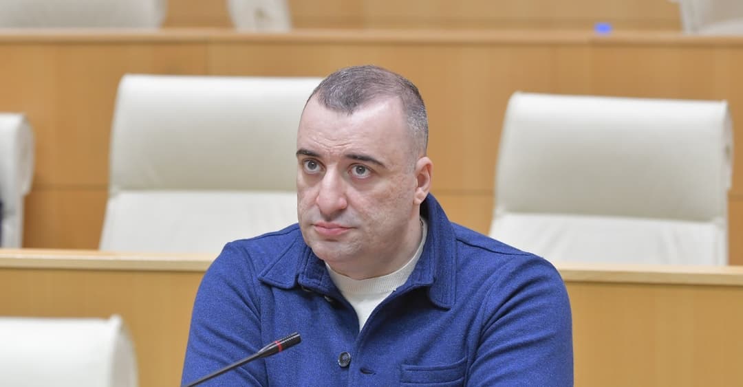 რატი იონათამიშვილი – ვითარება ერთნაირად მძიმეა რუსეთის მიერ ოკუპირებულ ტერიტორიებზე მცხოვრები ყველა ეთნიკური ჯგუფის შშმ პირებისათვის