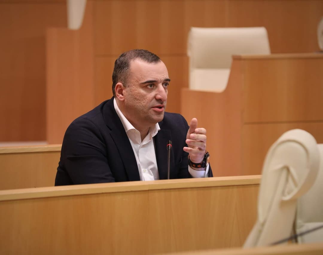 რატი იონათამიშვილი – იმდენად მოერგოთ და იმდენად მოხვდათ ტერმინი “უსამშობლო”, იქნებ უკან შევუბრუნოთო