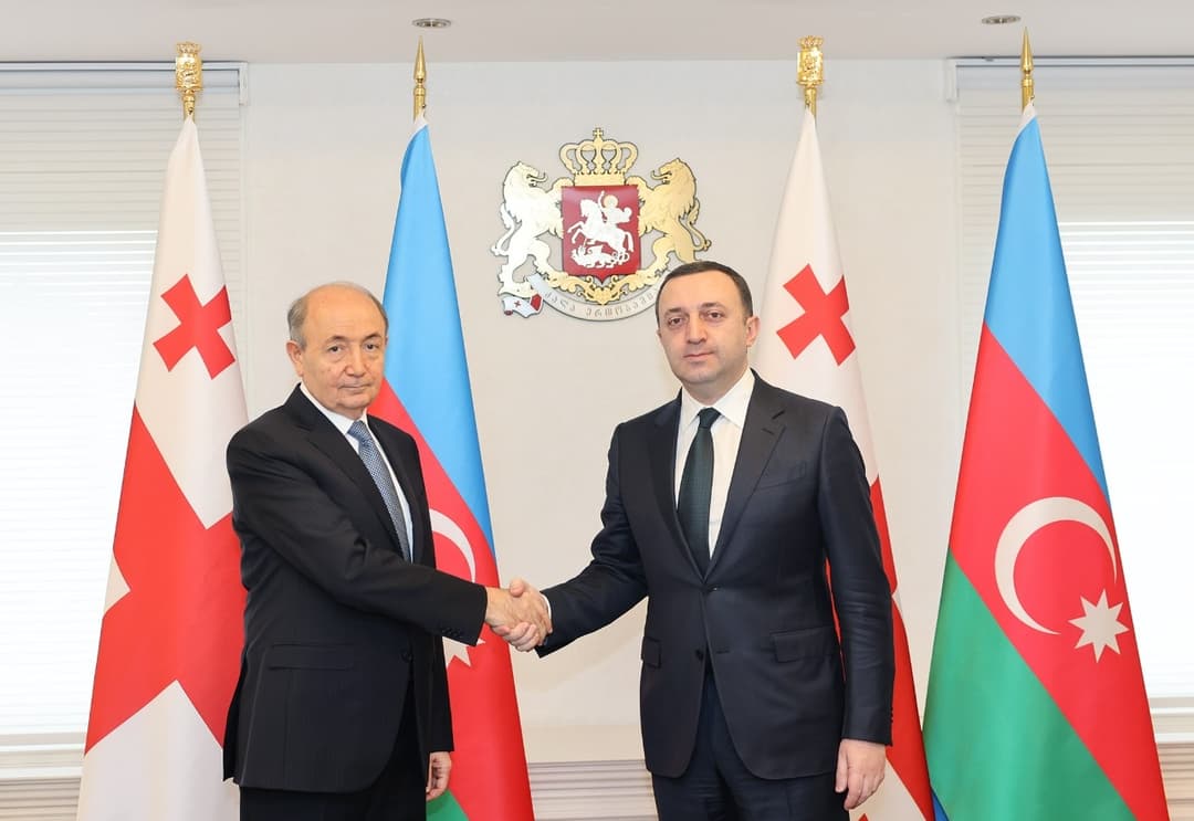 ირაკლი ღარიბაშვილი აზერბაიჯანის იუსტიციის მინისტრს შეხვდა