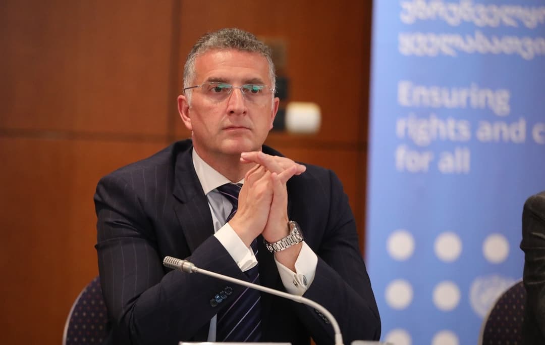 რევაზ ჯაველიძე 2024 წლის, საქართველოს მოსახლეობის საყოველთაო აღწერის საკითხებზე გამართულ დონორთა კონფერენციას დაესწრო