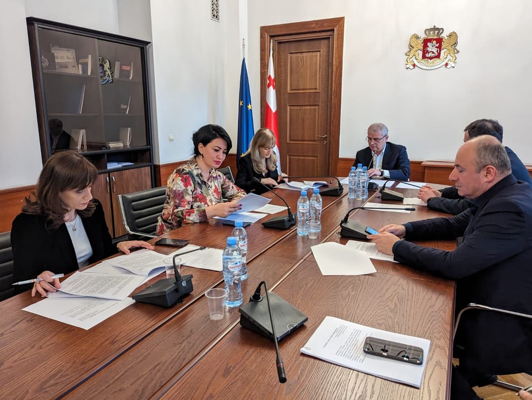 საპროცედურო საკითხთა და წესების კომიტეტმა ნატო და როსტომ ჩხეიძეების პოლიტიკური ჯგუფის შექმნის საკითხს მხარი დაუჭირა