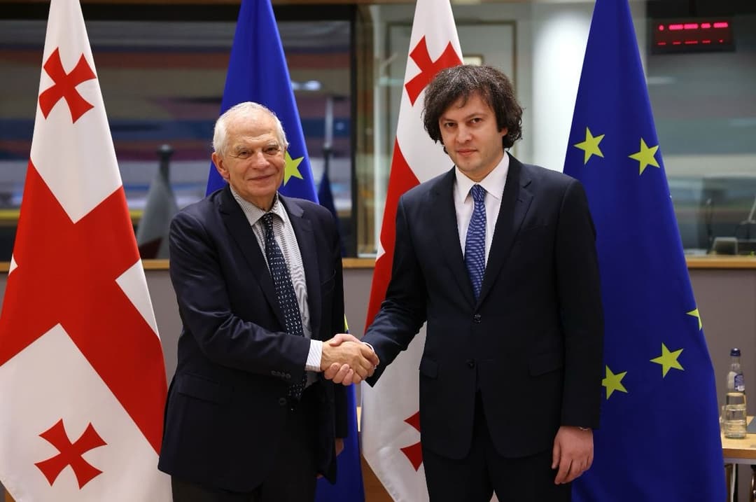 ბორელი – წელს მნიშვნელოვანი ტესტი იქნება ქართული დემოკრატიისთვის