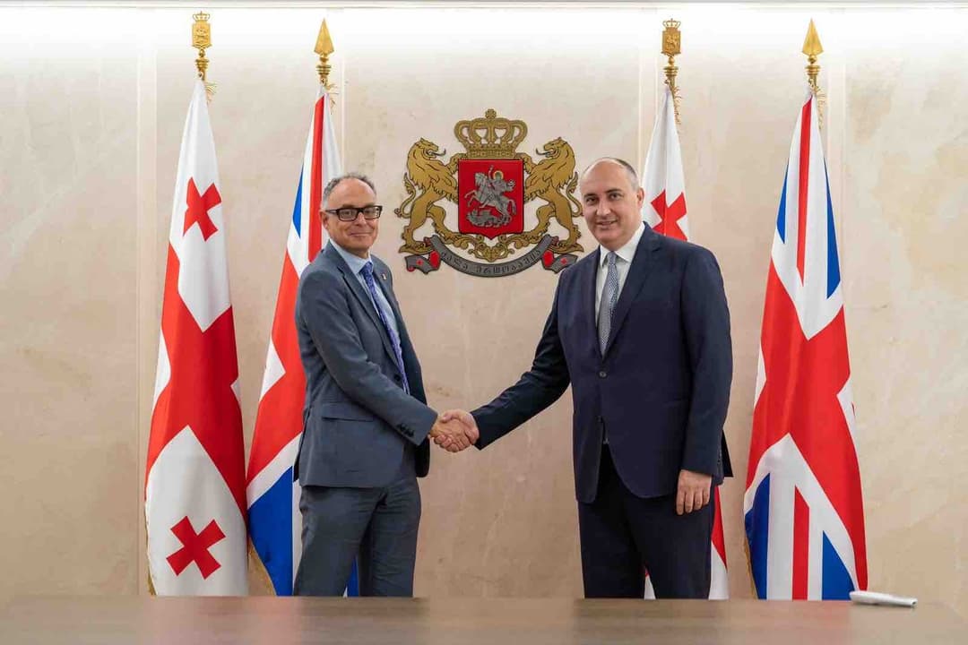 თავდაცვის მინისტრი დიდი ბრიტანეთის ელჩს შეხვდა