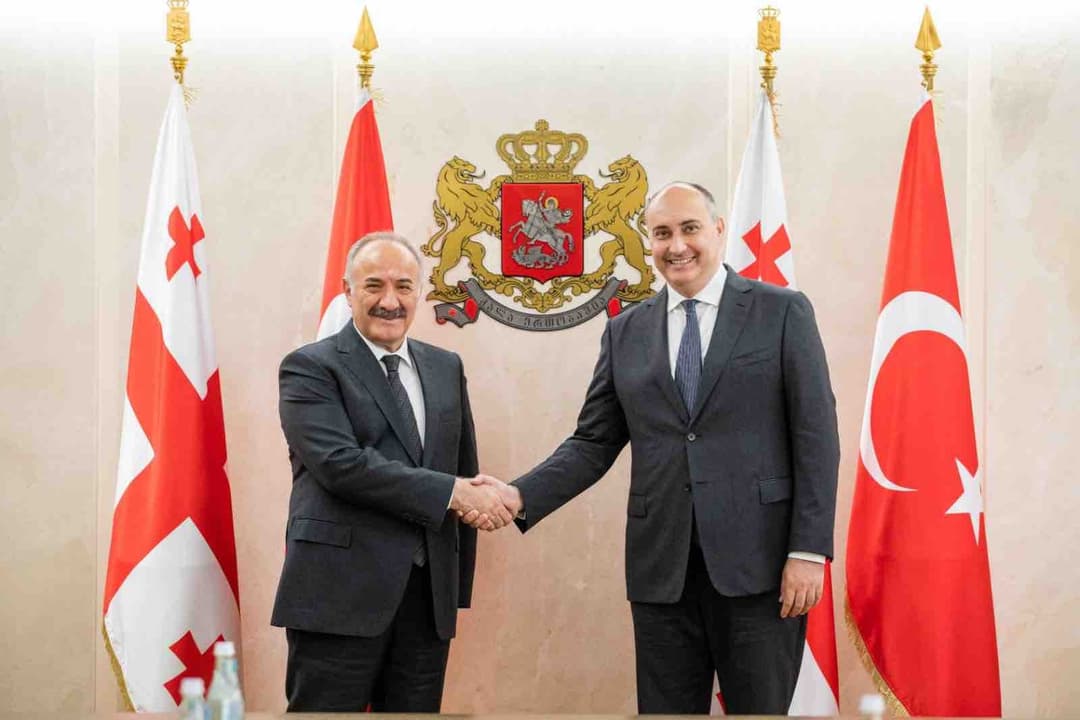 ჯუანშერ ბურჭულაძე თურქეთის რესპუბლიკის ეროვნული უსაფრთხოების საბჭოს გენერალურ მდივანს შეხვდა