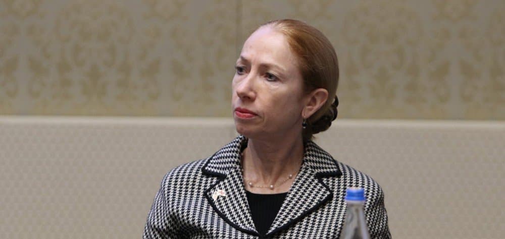 US Ambassador Degnan: Georgian people, not US should determine whether Ivanishvili is oligarch