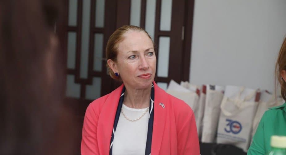 US Ambassador hopes for as “qualified, courageous” public advocate as Lomjaria