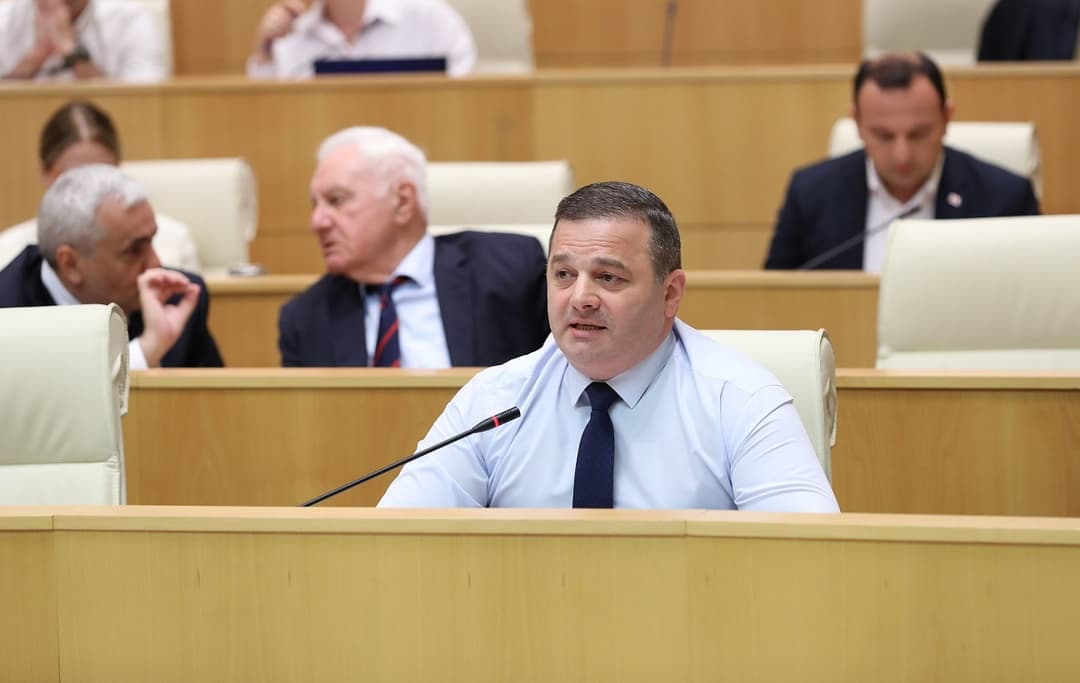 შალვა კერესელიძე – ინიციატივით შემოვდივართ, გარემოს დაცვისა და სოფლის მეურნეობის სამინისტროს გაყოფა მოხდეს