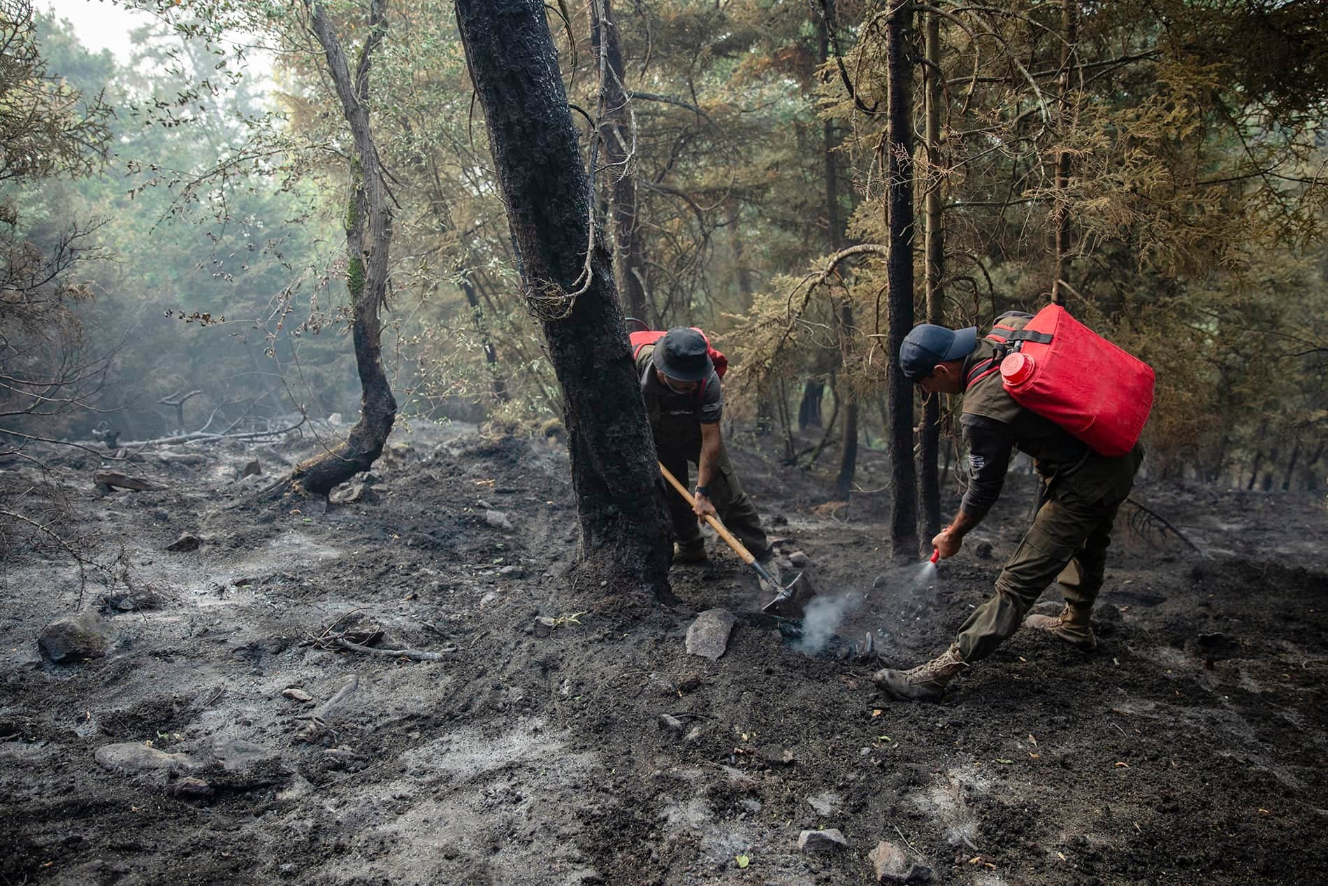 Frontnews image description