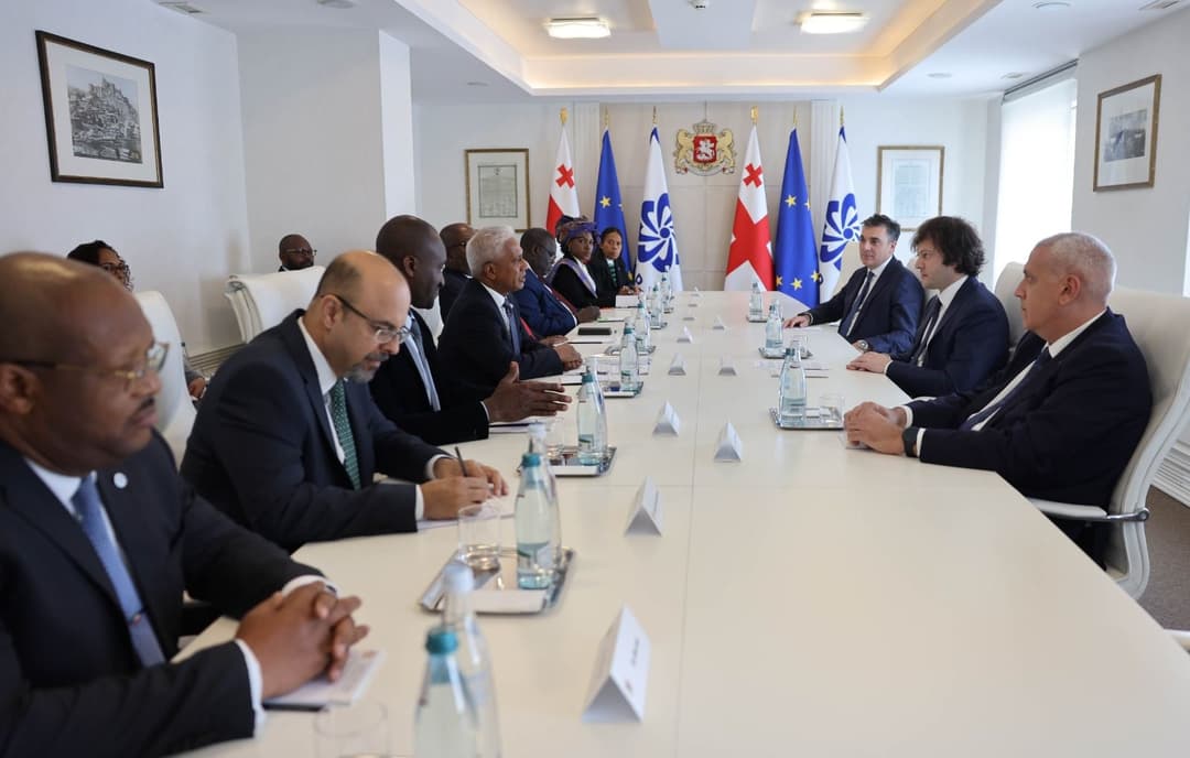 ირაკლი კობახიძე პორტუგალიურენოვანი ქვეყნების თანამეგობრობის დელეგაციას შეხვდა