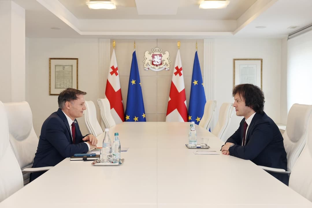 ირაკლი კობახიძე საქართველოში გაეროს მუდმივ კოორდინატორს შეხვდა