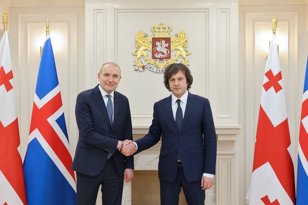ირაკლი კობახიძე ისლანდიის პრეზიდენტს შეხვდა
