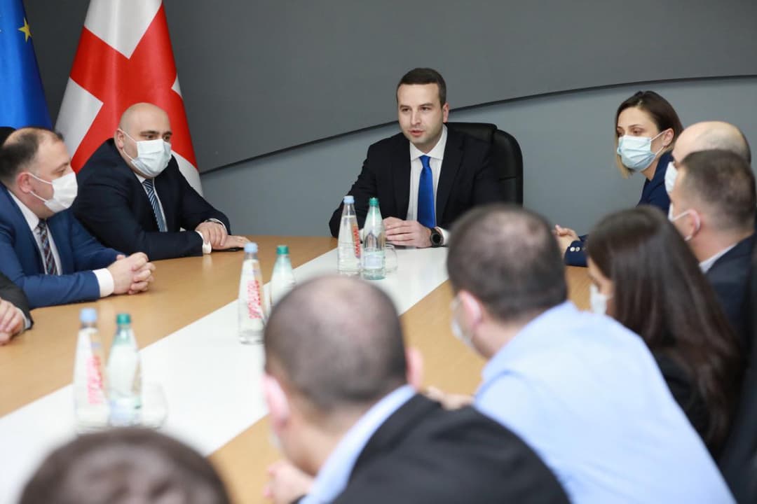 კოკა კაციტაძემ მოადგილეები წარადგინა