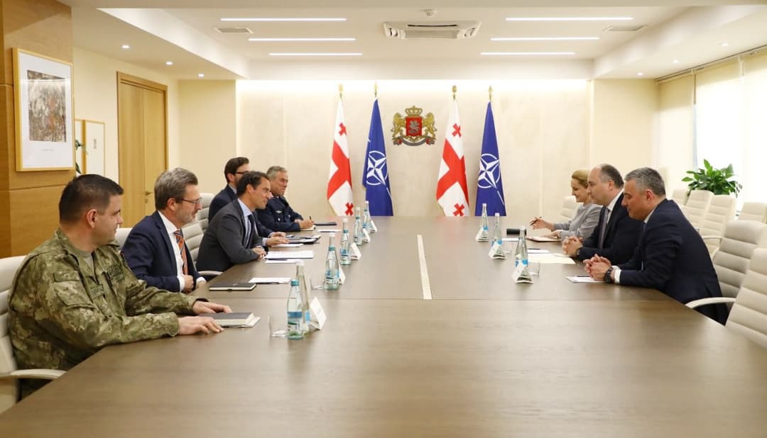 საქართველოს თავდაცვის მინისტრი ხავიერ კოლომინას შეხვდა