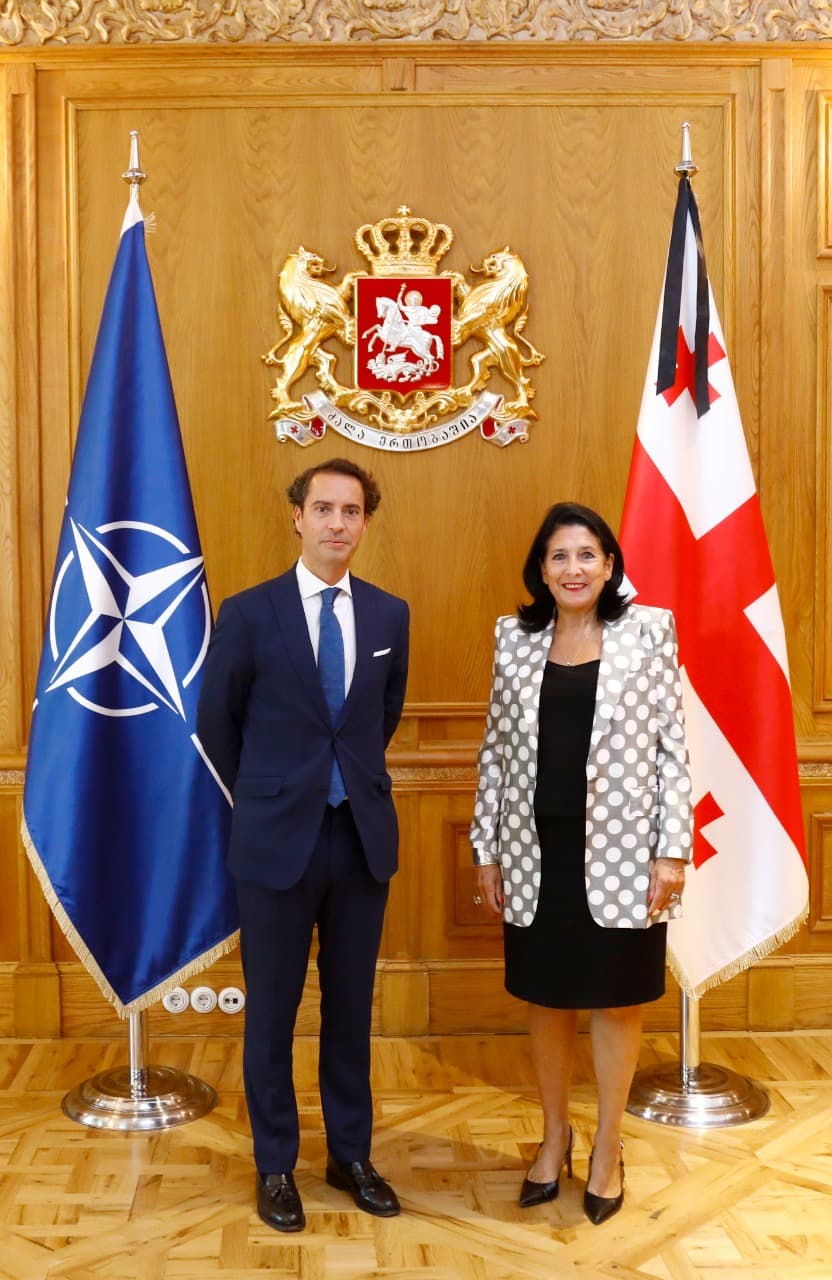 სალომე ზურაბიშვილი ხავიერ კოლომინას შეხვდა