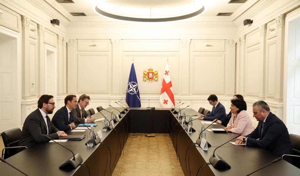 სალომე ზურაბიშვილი ხავიერ კოლომინას შეხვდა