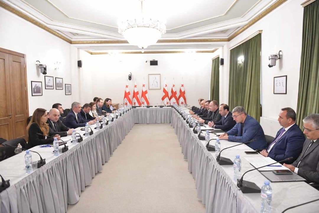 ნდობის ჯგუფმა 2024 წლის სახელმწიფო ბიუჯეტის პროექტზე იმსჯელა