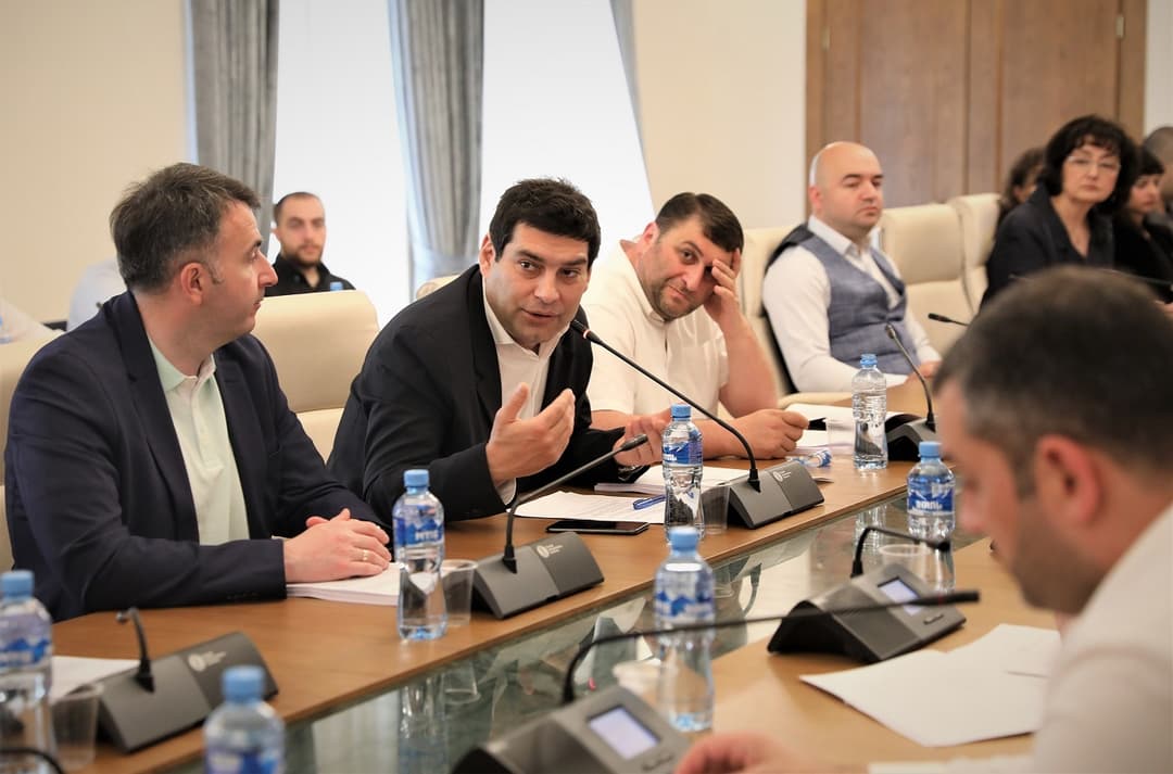 თბილისის ადმინისტრაციულ საზღვრებში მწვანე ნარგავების დაზიანებისთვის კანონი მკაცრდება