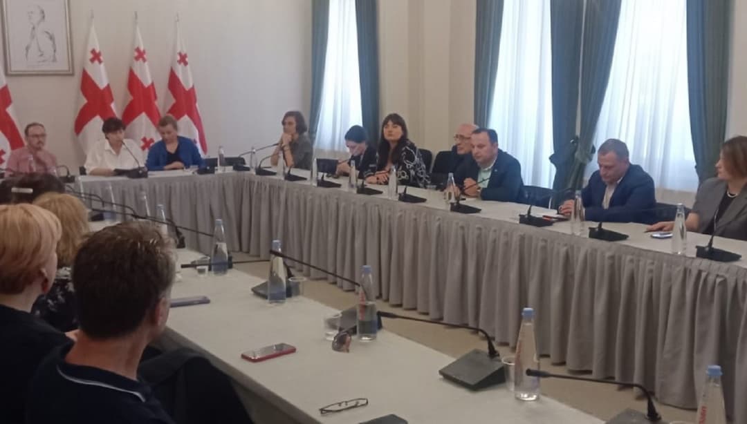 პარლამენტის წევრები კულტურის სფეროს წარმომადგენლებს შეხვდნენ