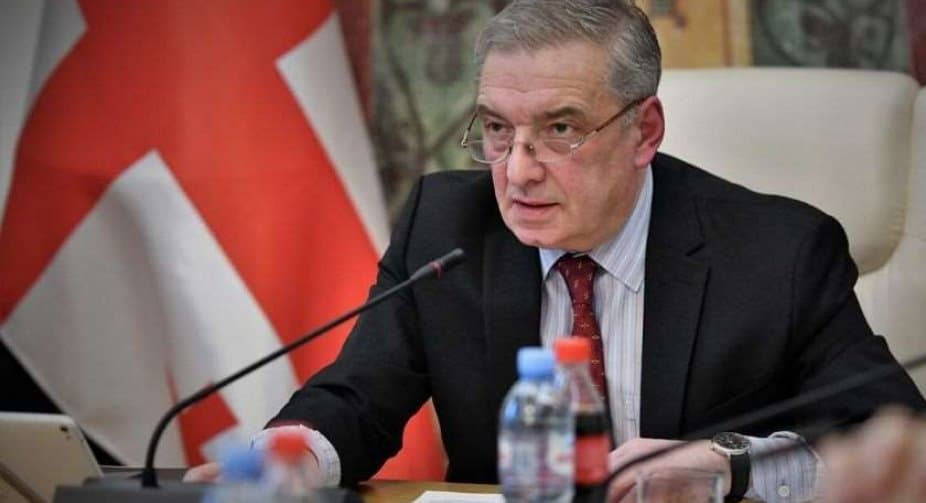 გია ვოლსკი – ზოგიერთი ევროპარლამენტარის განცხადება ფარისევლობაა