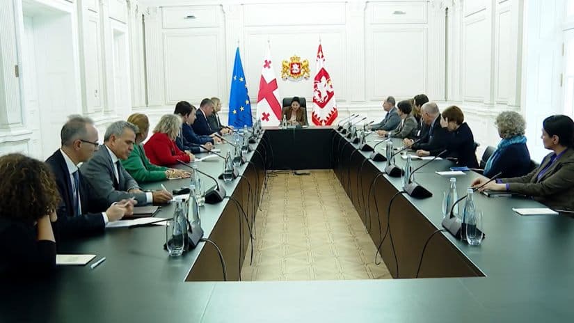 სალომე ზურაბიშვილი ევროკავშირის წევრი ქვეყნების ელჩებს შეხვდა