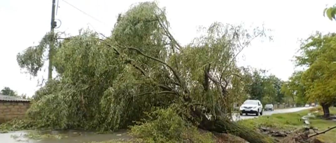 ძლიერმა ქარმა და წვიმამ ლაგოდეხის მუნიციპალიტეტში პრობლემები შექმნა