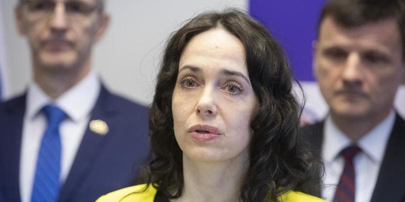 ლექსმანი – საქართველოს ევროპული გზის მხარდასაჭერად მნიშვნელოვანია, სანქციები დაუწესდეს ოლიგარქ ივანიშვილს