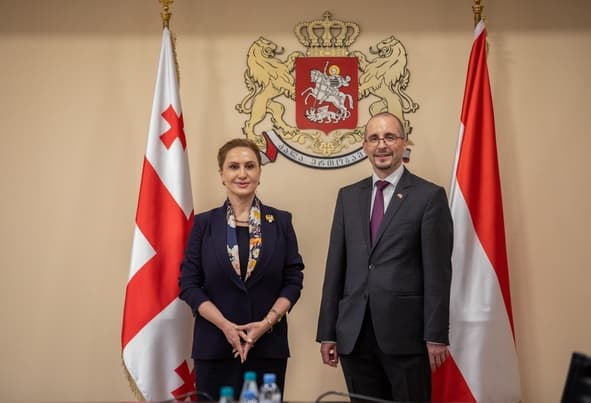 თავდაცვის მინისტრის პირველი მოადგილე ავსტრიელ კოლეგას შეხვდა